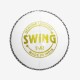 DSC Swing Leather Ball, White