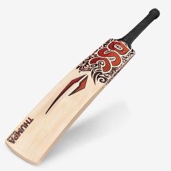 DSC Thumpa 2000 Bat English Willow Bat, Mens
