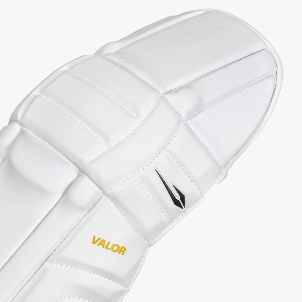 DSC Valor Batting Leg Guard, Ambi Boys