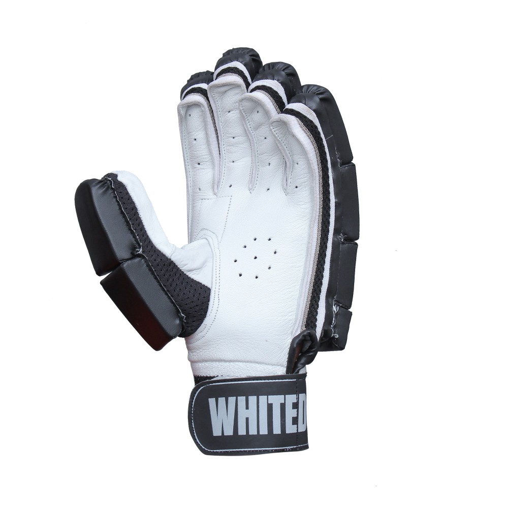 Aegis Black Cricket Batting Gloves