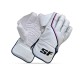 SF Blaster Wicket Keeping Gloves, Boys