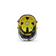 SF County Cricket Helmet, Small