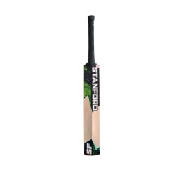 SF Impact Kashmir Willow Bat