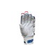 SF Nexzen Batting Gloves, Mens, Right