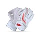 SF Test Wicket Keeping Gloves, Boys