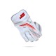 SF Test Wicket Keeping Gloves, Boys