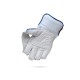 SF Triumph Wicket Keeping Gloves, Mens