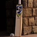 SG English Willow Bat