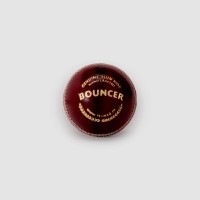 SG Bouncer™ Cricket Leather Ball