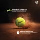 SG Bounce Plus Lightweight Tennis Cricket Ball, Pack of 3 SG Bounce Plus Lightweight Tennis Cricket Ball, Pack of 3
