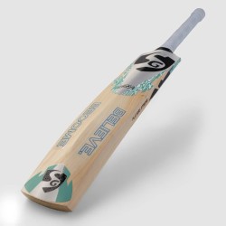 SG Player Xtreme English Willow Cricket Bat, SH