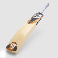 SG Profile Xtreme English Willow Cricket Bat, 3