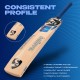 SG Scorer Classic Kashmir Willow Cricket Bat, 3