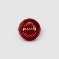 SG Seamer Cricket Leather Ball