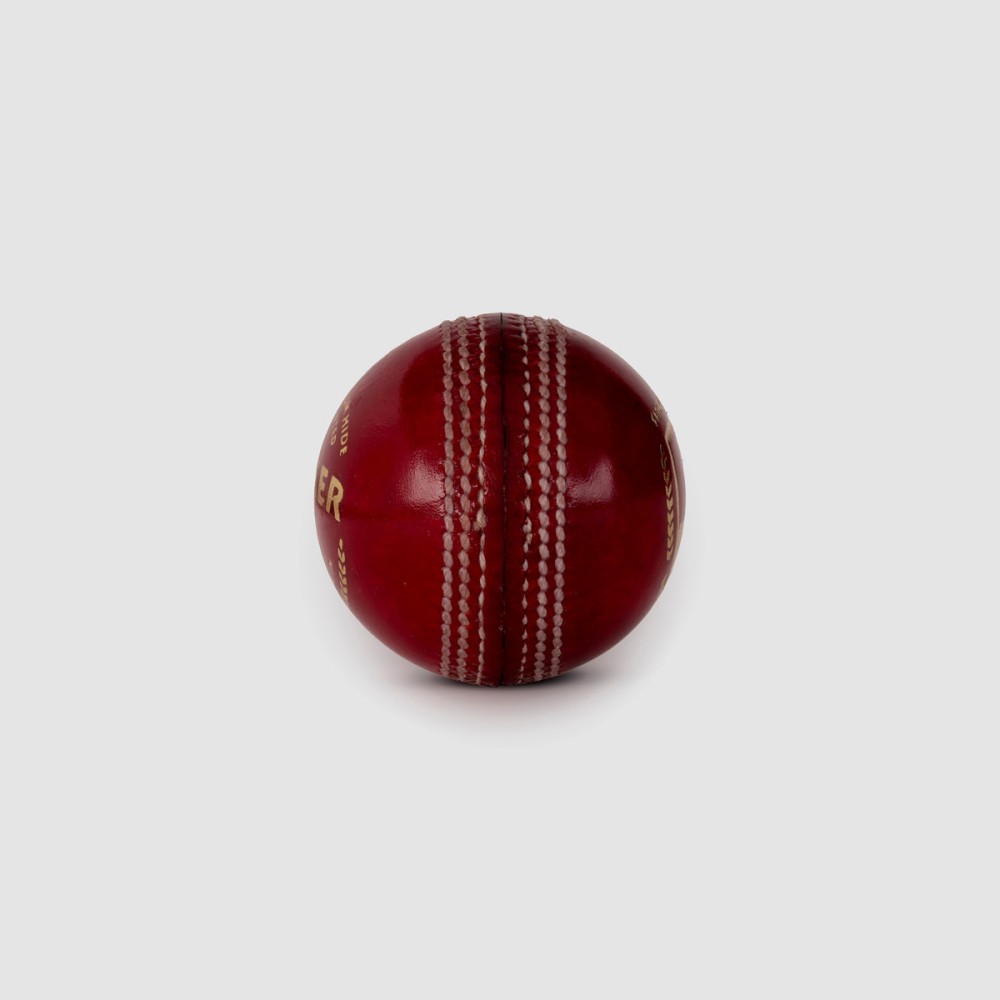 SG Seamer Cricket Leather Ball