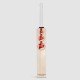 SG Arc 2.0 English Willow Cricket Bat, SH