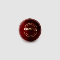 SG Campus Cricket Leather Ball