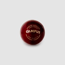 SG Campus Cricket Leather Ball