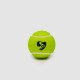 SG Club Lite Cricket Balls (PACK OF 3)