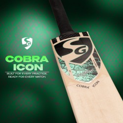 SG Cobra Icon Kashmir Willow Cricket Bat, SH