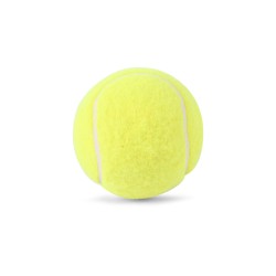 SG Endura Lite Synthetic Ball SG Endura Lite Synthetic Ball