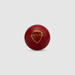 SG Everlast Tec Synthetic Cricket Ball (Red) SG Everlast Tec Synthetic Cricket Ball (Red)
