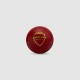 SG Everlast Tec Synthetic Cricket Ball (Red)