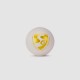 SG Everlast Tec Synthetic Cricket Ball (White)