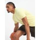 SG H1MT83731 Men Chardonnay T-Shirt, Chardonnay, S SG H1MT83731 Men Chardonnay T-Shirt, Chardonnay, S