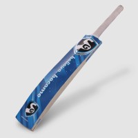 SG HP Flicker Kashmir Willow Cricket Bat, 6