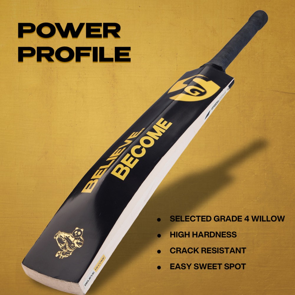 SG HP Plus Kashmir Willow Cricket Bat, 4 SG HP Plus Kashmir Willow Cricket Bat, 4