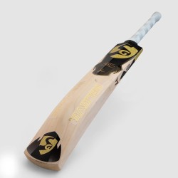 SG HP T-20 English Willow Cricket bat, SH