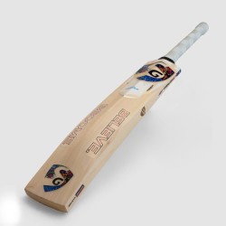 SG Jemi Edition English Willow Cricket bat, SH