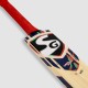SG Kashmir Willow Cricket Bat (Tennis ball) T-800, SH