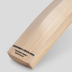 SG King Cobra Arc 1.0 English willow Cricket Bat, SH