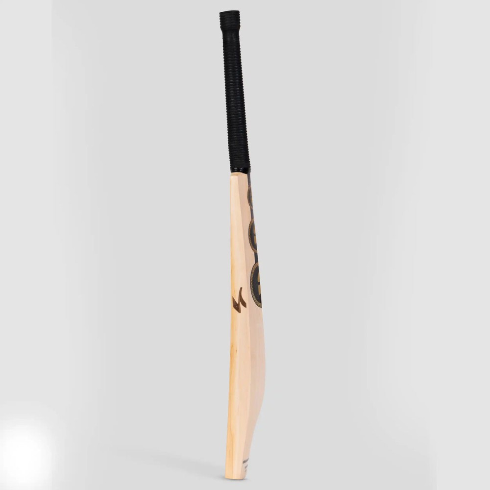 SG King Cobra Arc 1.0 English willow Cricket Bat, SH