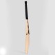 SG King Cobra Arc 1.0 English willow Cricket Bat, SH