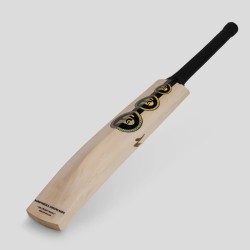 SG King Cobra Arc 2.0 English willow Cricket Bat, SH