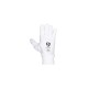 SG KLR League Inner Gloves, Adult