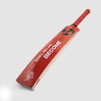 SG KLR Plus Kashmir Willow Cricket Bat, 4