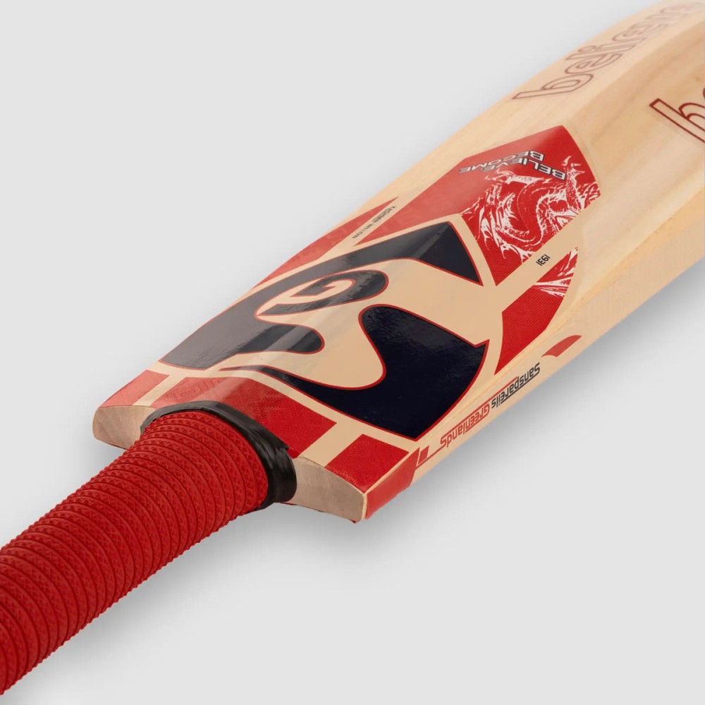 SG KLR SPARK Kashmir Willow Cricket Bat, 4