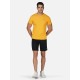 SG Round Neck Regular Comfort Fit T-Shirt For Mens & Boys, Sunshine Yellow Royal Blue, Fitness & Training, Jogging, Gym Wear & Fashion Wear, S, sunshine yellow