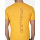 SG Round Neck Regular Comfort Fit T-Shirt For Mens & Boys, Sunshine Yellow Royal Blue, Fitness & Training, Jogging, Gym Wear & Fashion Wear, S, sunshine yellow