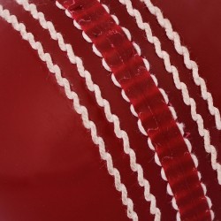 SG Prosoft Synthetic Cricket Ball (Red) SG Prosoft Synthetic Cricket Ball (Red)