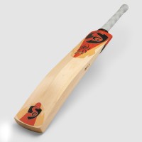 SG RP LE English Willow Cricket Bat (Rishabh Pant Series), SH