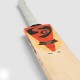 SG RP LE English Willow Cricket Bat (Rishabh Pant Series), SH