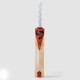 SG RP LE English Willow Cricket Bat (Rishabh Pant Series), SH