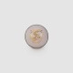 SG Shield 20 White Leather Cricket Ball, Adult
