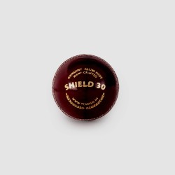 SG Shield 30 Red Cricket Leather Ball