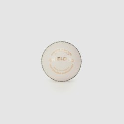 SG Shield 30 White Youth Leather Ball, Youth